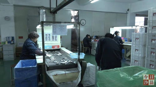 金楊科技春節不打烊，增資擴產技術服務忙